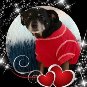 Meet your Posher, Enitza